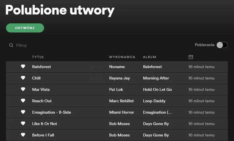 Co oznacza „e” na Spotify? Znaczenie symbolu przy utworze