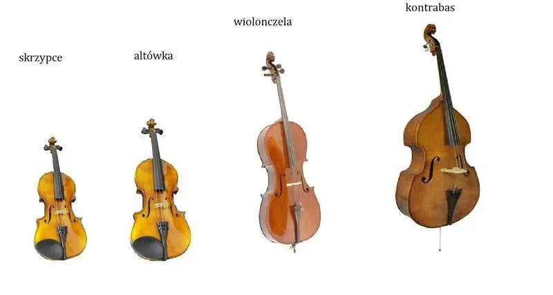 Gitara i skrzypce — do jakiej rodziny instrumentów należą?