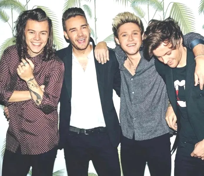Ile kosztuje bilet na koncert One Direction? Sprawdź aktualne ceny!