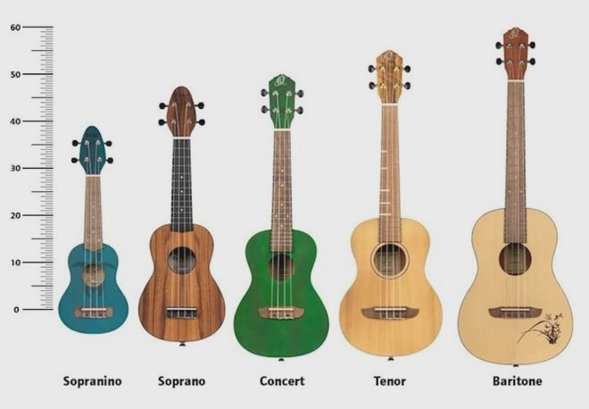 Ukulele dla początkujących — jakie wybrać, by łatwo zacząć grać?