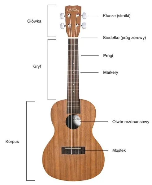 Historia ukulele