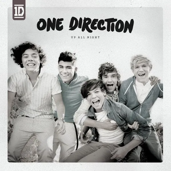 Koncerty One Direction