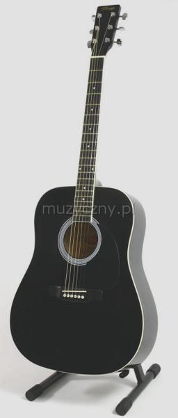 Modele gitar akustycznych