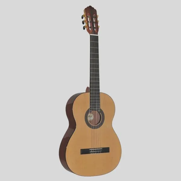 Nastrojona gitara