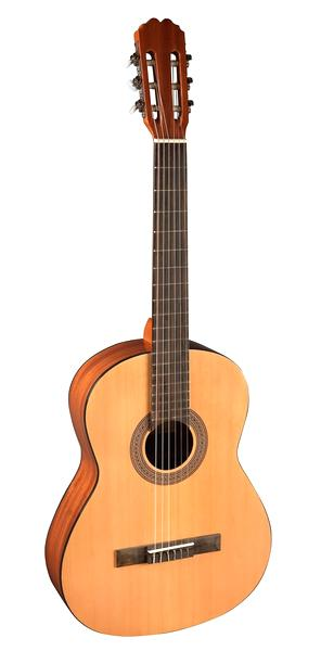 Rodzaje gitar